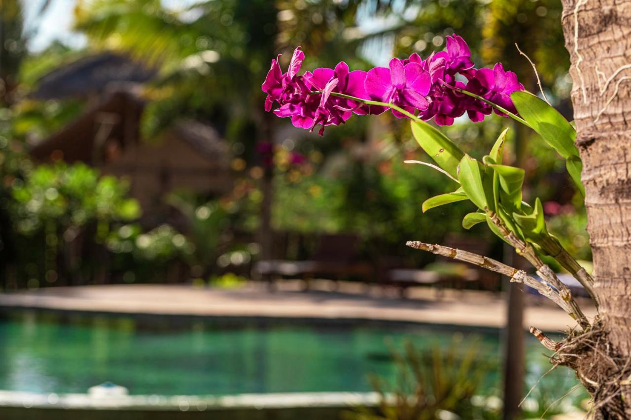 Ventura Barra Grande Hotel Barra Grande  Buitenkant foto